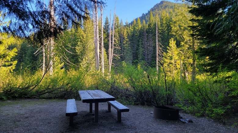 A picnic table and a fire pit with a cooking grate in a wooded campsite at the Walupt Lake campground, Walupt Lake, Washington