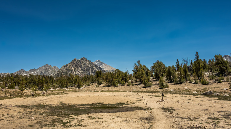 Desolate Intersection For Charlotte Lake In Kings Canyon National Park, California