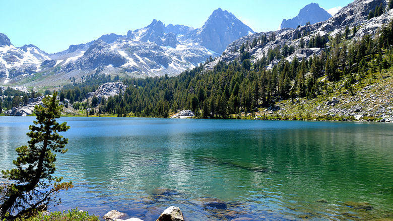 Ediza Lake's translucent blue-green waters with the Ritter Range in the background and pine trees around the lake, light snow on the mountains