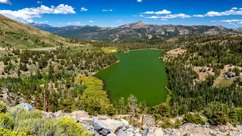 A high view of Red Lake in California's Sierra Nevada with surrounding mountains, hills, and forests.