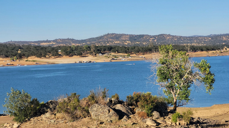 This is a photo of Camp Far West Lake in California.