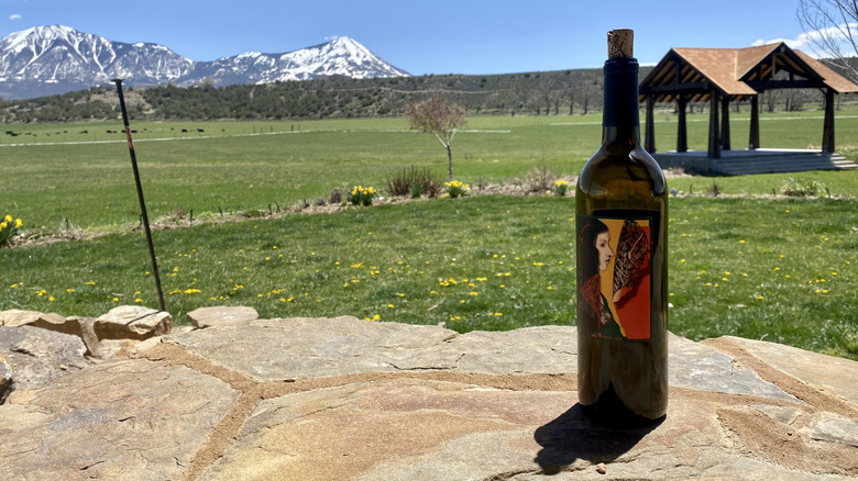 A bottle of wine sits on a stone ledge on a sunny day, with green fields and mountains in the background
