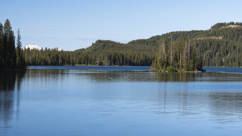 The calm surface of Island Lake in Grand Mesa, Colorado surrounded by forested slopes and shoreline