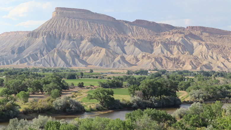 The rocky and flat-top Grand Mesa in Colorado towering over green fields and trees with a river nearby