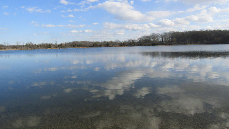 The placid surface of Lime Lake in Michigan showing clear water reflecting clouds and trees on a distant shoreline