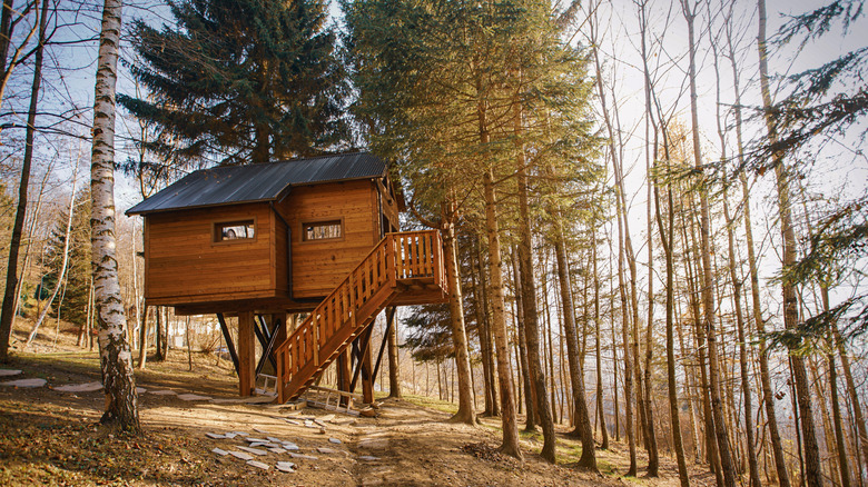 A treehouse set on a sloping terrain surrounded by trees