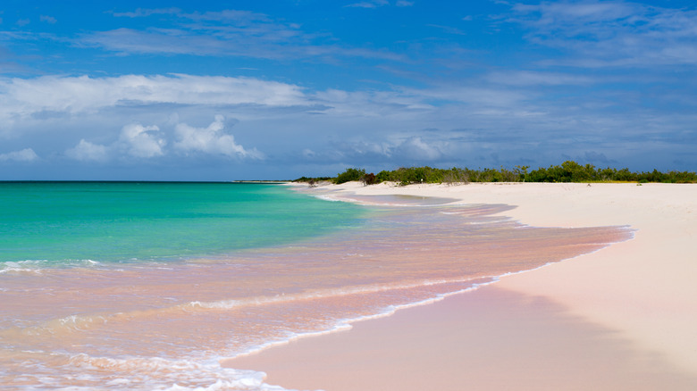 Pink Sand Beach on Barbuda showing pink sand, aqua blue water, and a clear blue sky