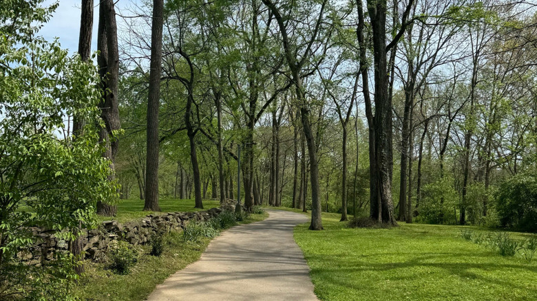 A paved trail lined with bright green grass and thin tree cover at Moss-Wright Park in Goodlettsville, Tennessee.