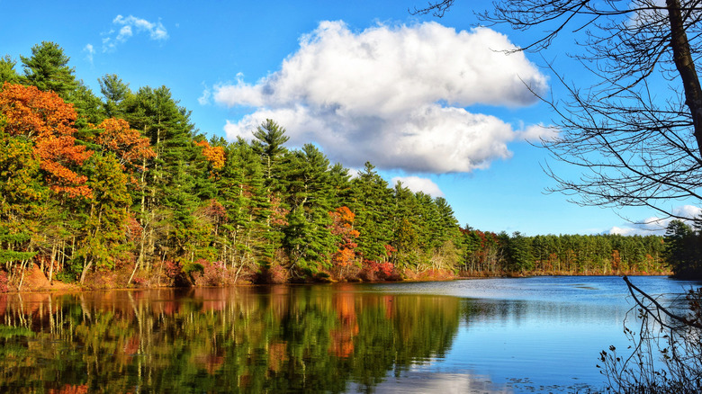 Tarbox Pond during autumn in West Greenwich, Rhode Island