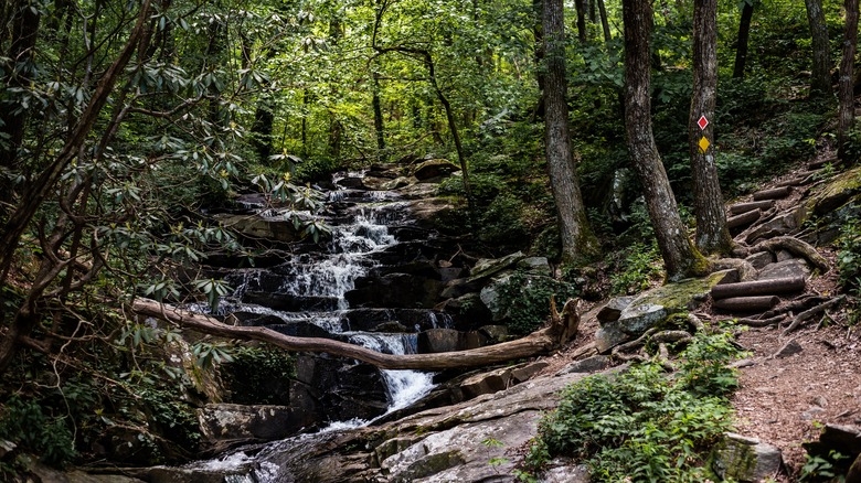 The Falls at Fort Mountain State Park, Georgia