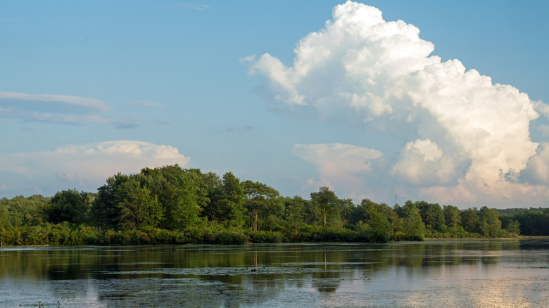 Scenic lake view in Gouldsboro, Pennsylvania