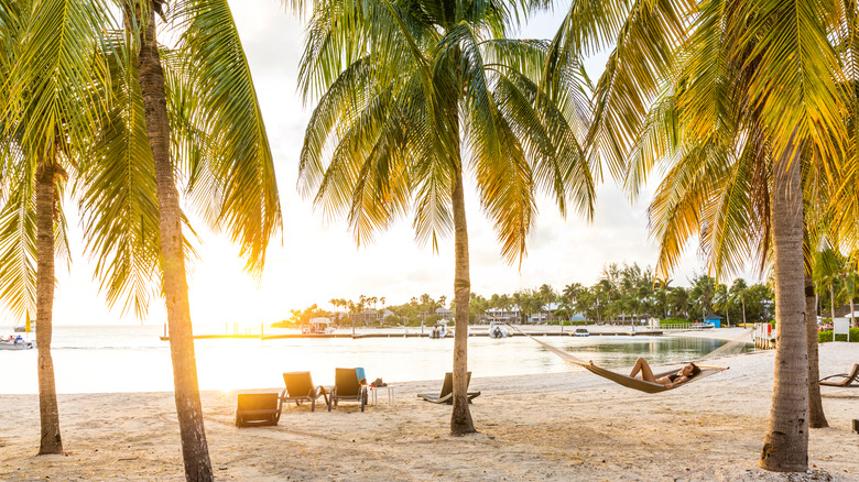 A woman relaxes on a hammock, Grand Cayman