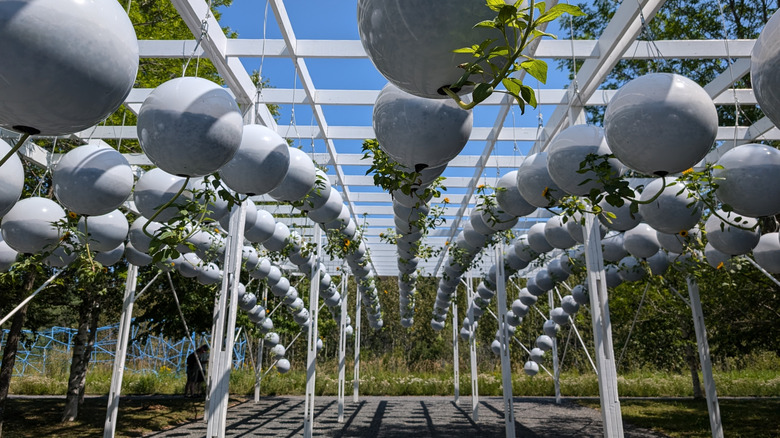 Art installation at Reford Gardens