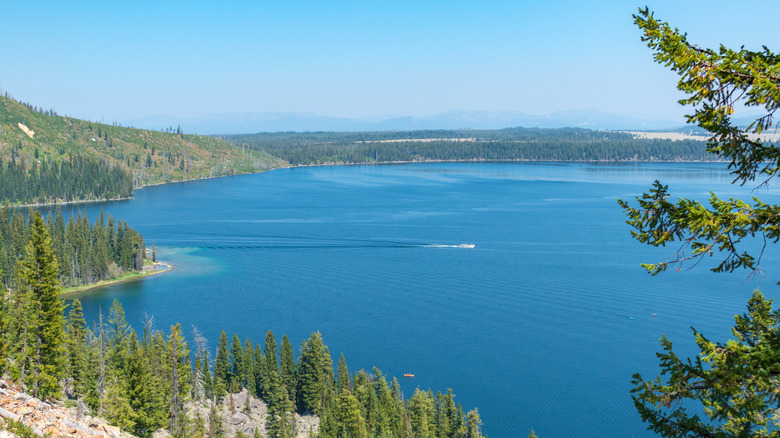 Aerial view overlooking Jenny Lake