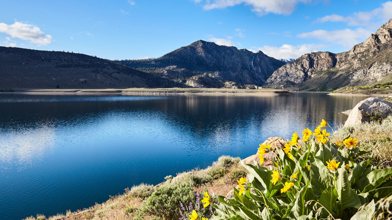 A scenic photo of Mount Wood with Grant Lake within the June Lake Loop