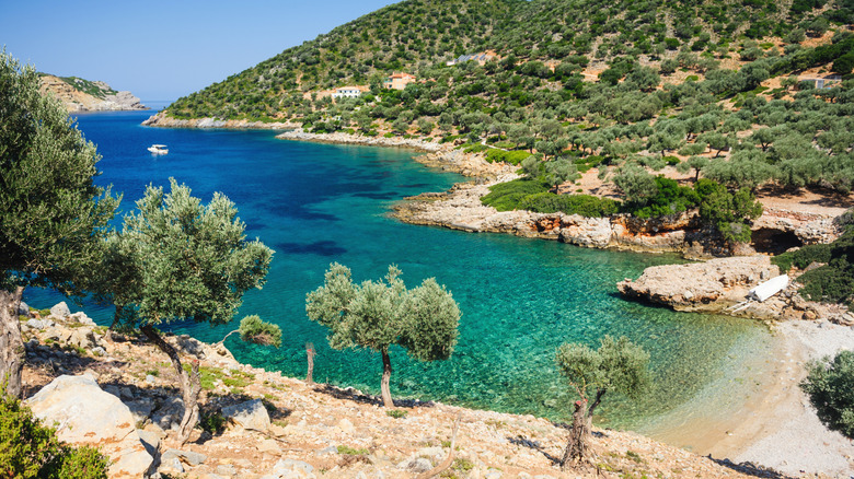 Alonissos, Greece beach with forest and cliffs