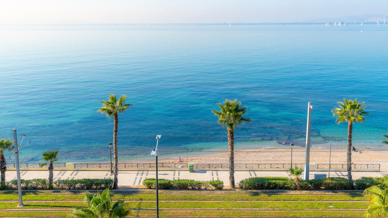Palm trees along the of the Athenian Riviera