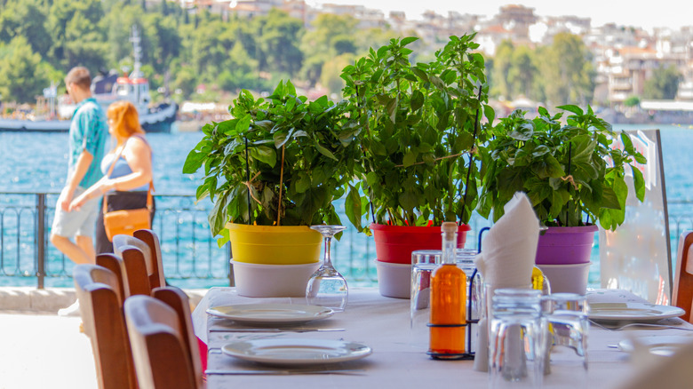 A tableside view from the Chalkida esplanade