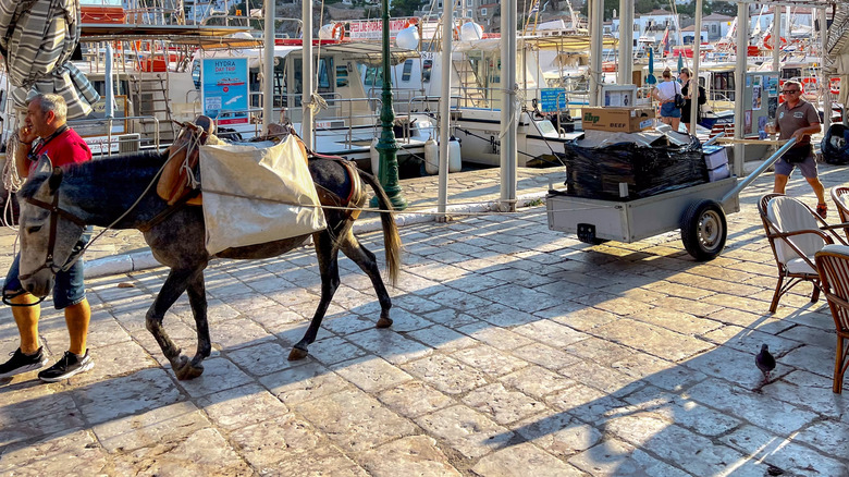 View of a donkey pulling a luggage cart on the car-free island of Hydra, Greece