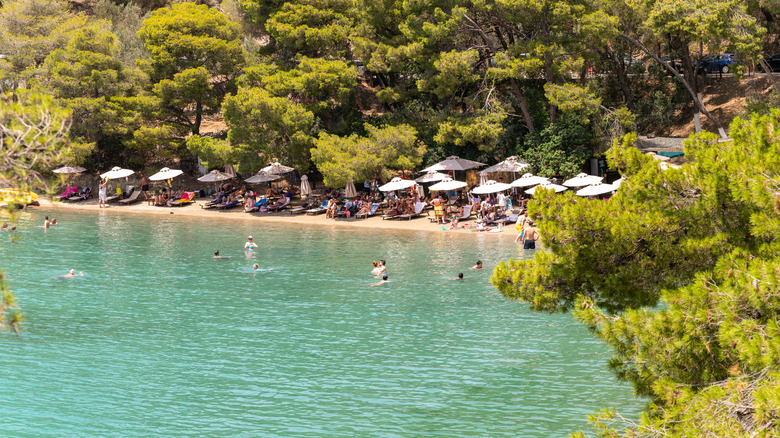 A veiw of Love Bay beach through the trees