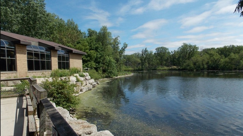 One of the ponds at the Bay Beach Wildlife Sanctuary, Green Bay, Wisconsin, framed by lush trees