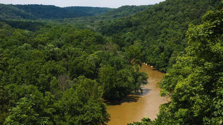 Kayakers on the Green River in Mammoth Cave National Park, Kentucky