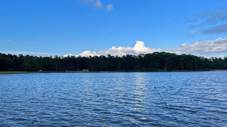 Grenada Lake, Mississippi