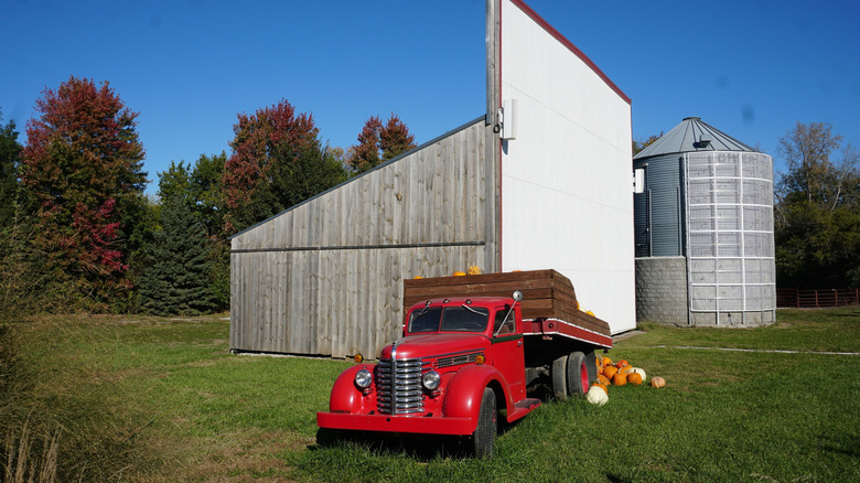 Truck with pumpkins behind it at Vala's Pumpkin Patch and Apple Orchard