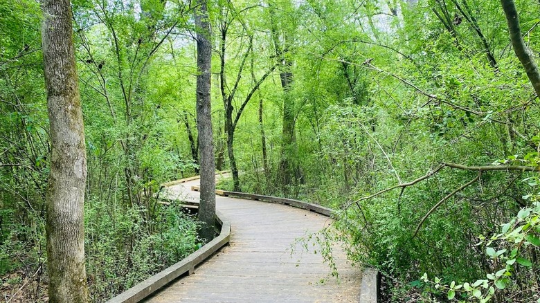 Grovetown Trails at Euchee Creek