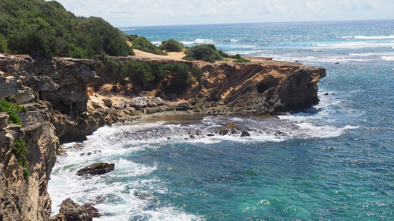 A cliff overlooking the sea on the coast of Kauai.