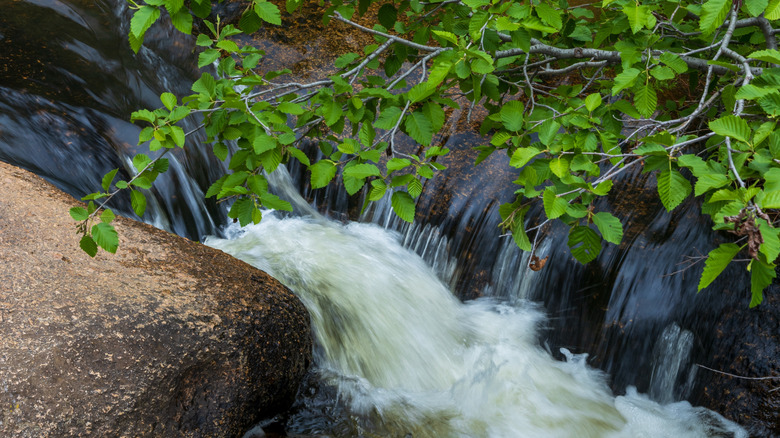 Hidden Falls with a strong flow at Curt Gowdy State Park, Wyoming