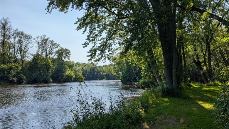 Oconto riverbank surrounded by lush green trees and grassy areas at Copper Culture State Park, Wisconsin