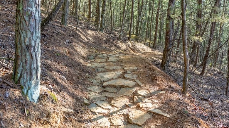 Trail in Aspire Park, Tennessee