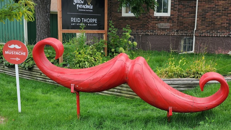 The World's Largest Mustache in Chaska