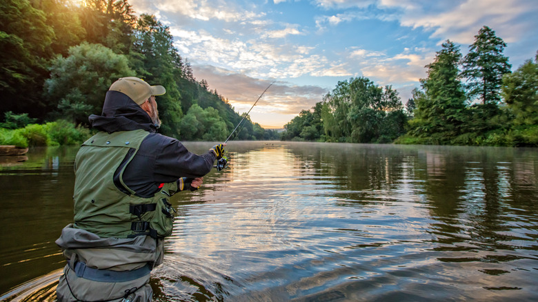 Back view of a person fishing in water, surrounded by trees