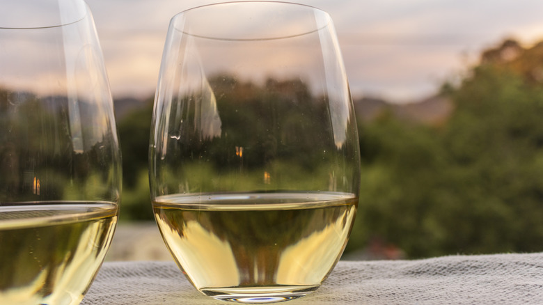 White North Carolina wine with a landscape in the background