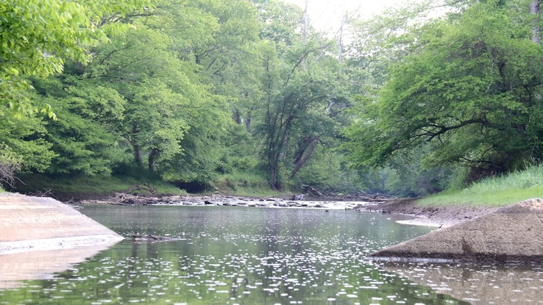 Downstream from Browns Bridge Recreation Area within the watershed