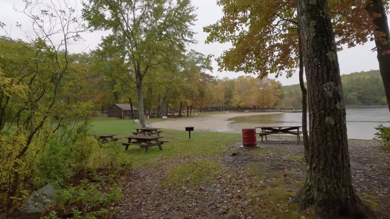 Picnic tables are arrayed around a beach near Wallum Lake in Massachusetts