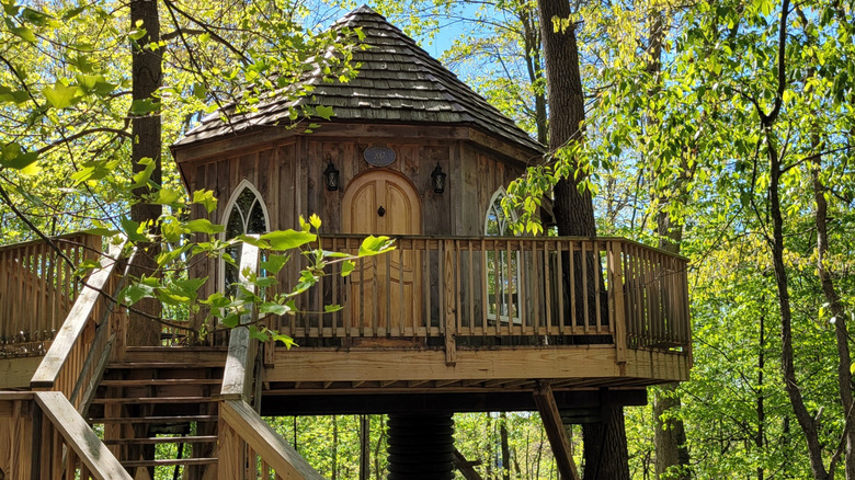 Treehouse cabin with pointed roof in the woods at Mohican Treehouse Resort of Ohio