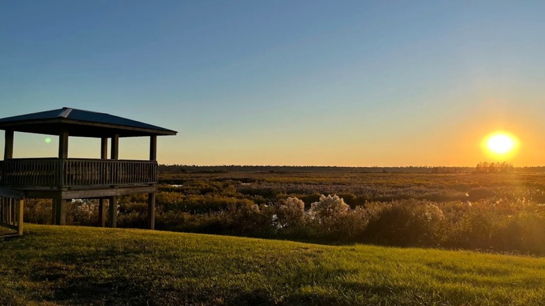 Sunset over the wetlands of the Ocklawaha Prairie Restoration Area, Florida