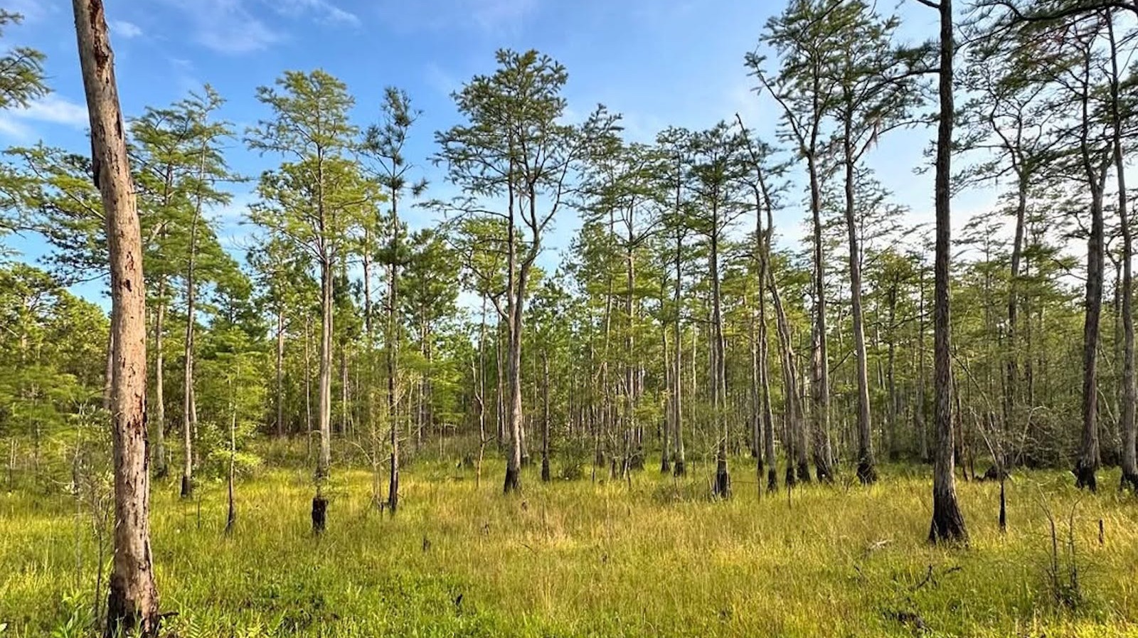 Halfway Between Georgetown And Myrtle Beach Is A Sandy Atlantic Island That  Stuck In Time  