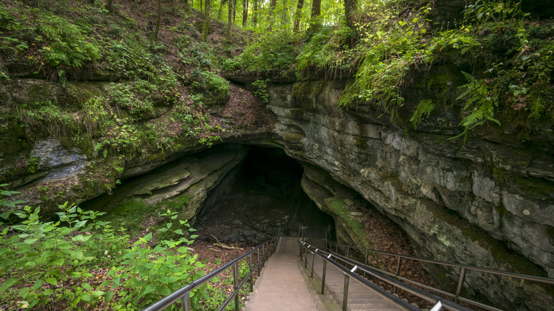 A stairwell and cave and moss
