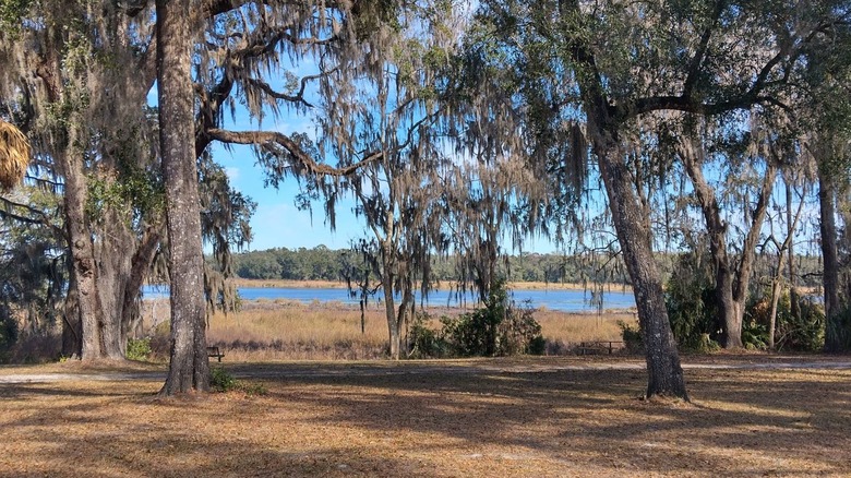 Fort Cooper State Park in Inverness, Florida