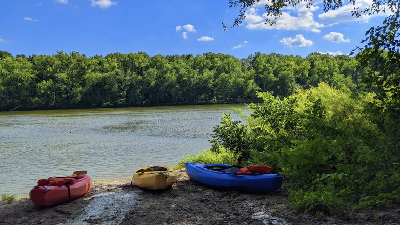 kayaks lining the Maumee River at Independence Dam State Park, Ohio