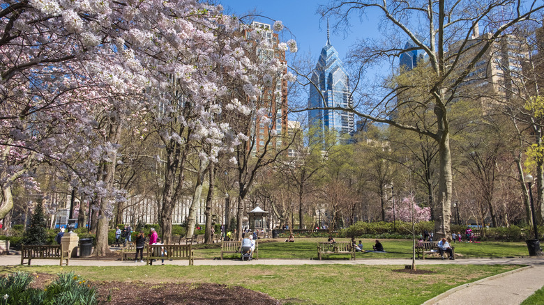 Cherry blossoms reach toward nearby skyscrapers on a sunny day in Rittenhouse Square in Philadelphia