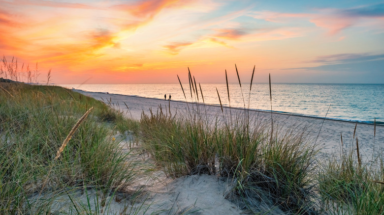 Kemil Beach in Indiana Dunes National Park, shores of Lake Michigan, Indiana, USA