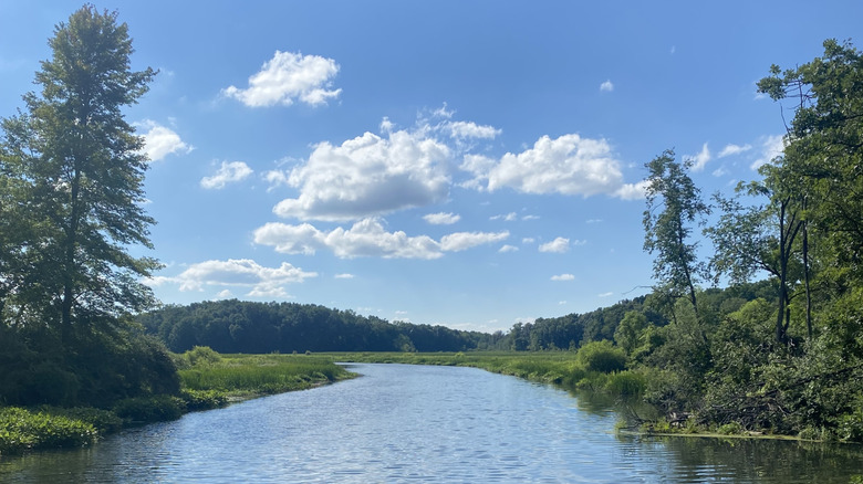 Photograph taken along the Pigeon River, northeastern Indiana