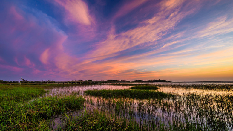 Sunset over a salt marsh on the coast near Beaufort, North Carolina