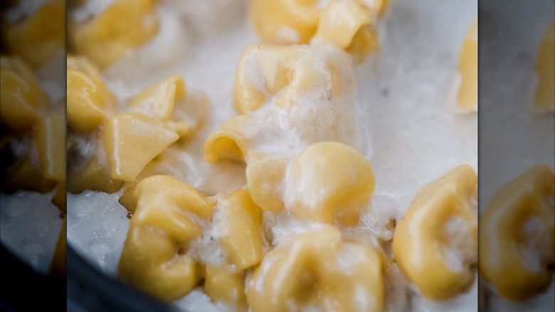 The sacchettini di pere, a popular pear-filled pasta dish at Osteria Natalina in Tampa
