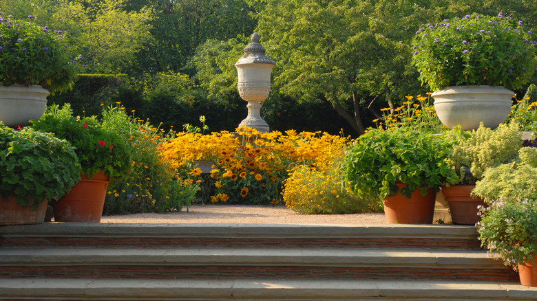 Colorful flowers in the Chicago Botanical Garden in Glencoe, Illinois